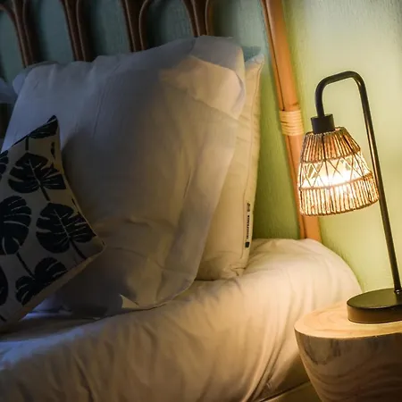 Lumineux - L'amazone - Gare Apartment *